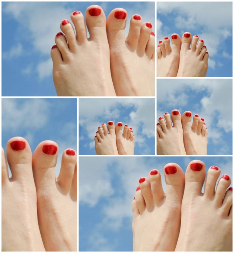 Julia Mo. cover image