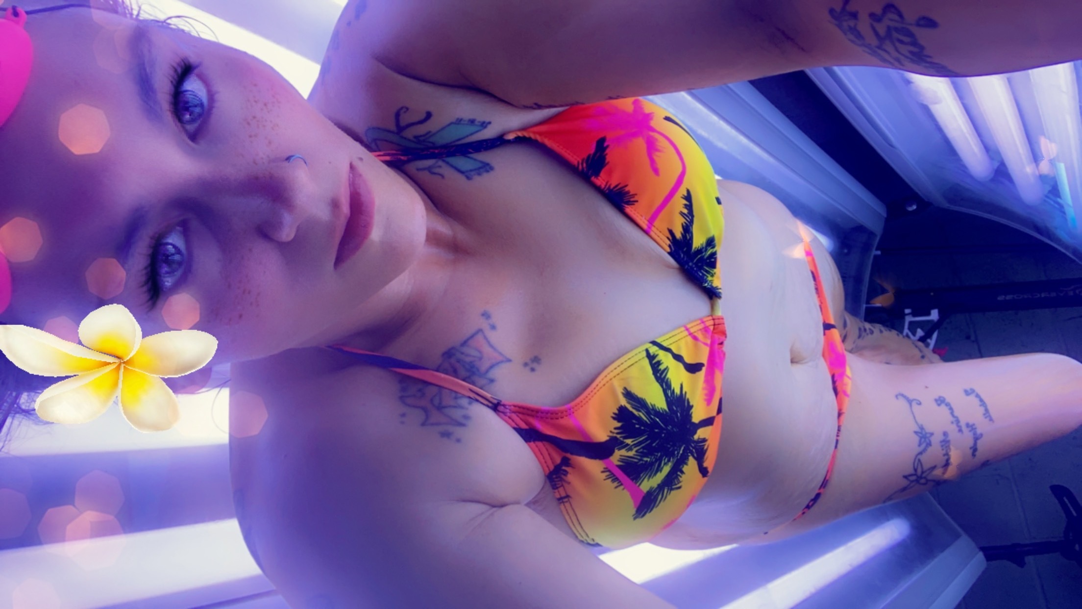 Taralee🦋🦋 banner image
