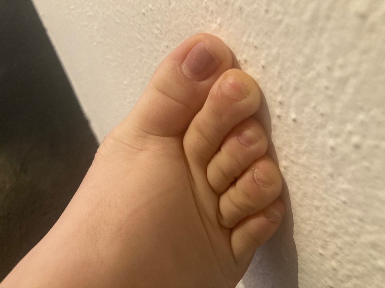Big foot banner image