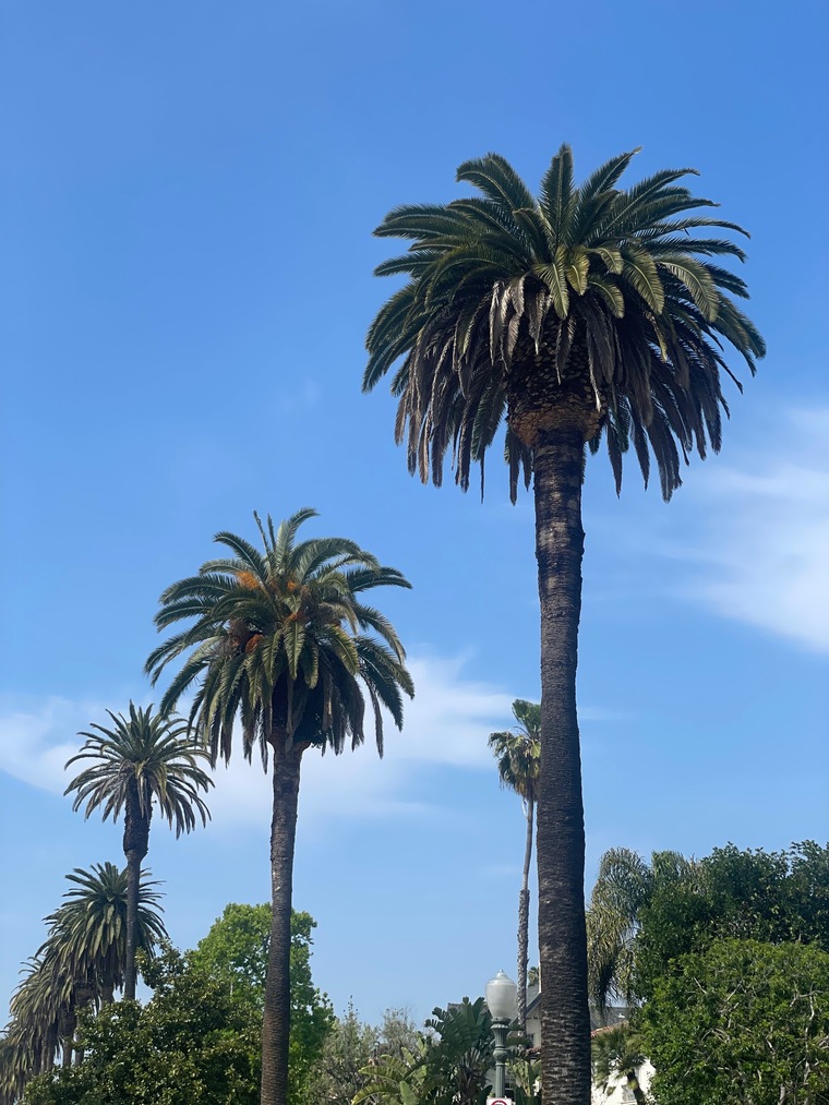 Stand Tall cover image