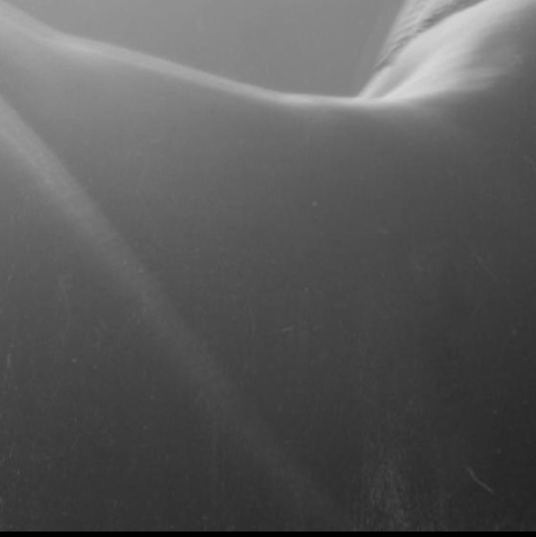 Skinny banner image