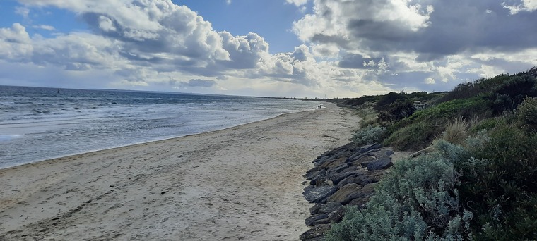 Mat cover image