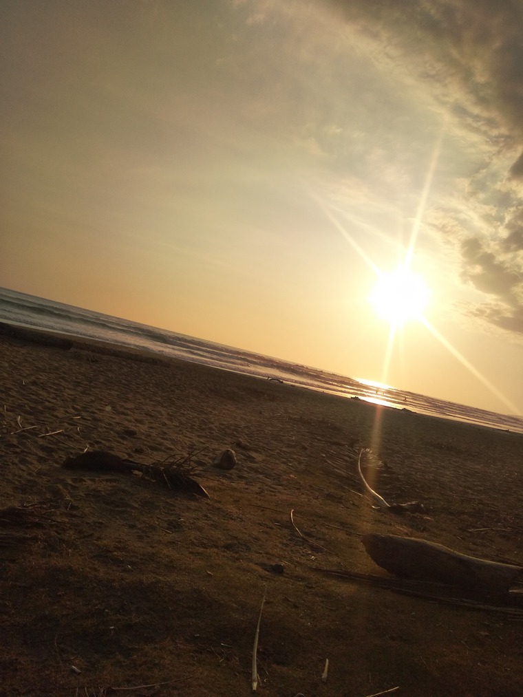 MORENA banner image