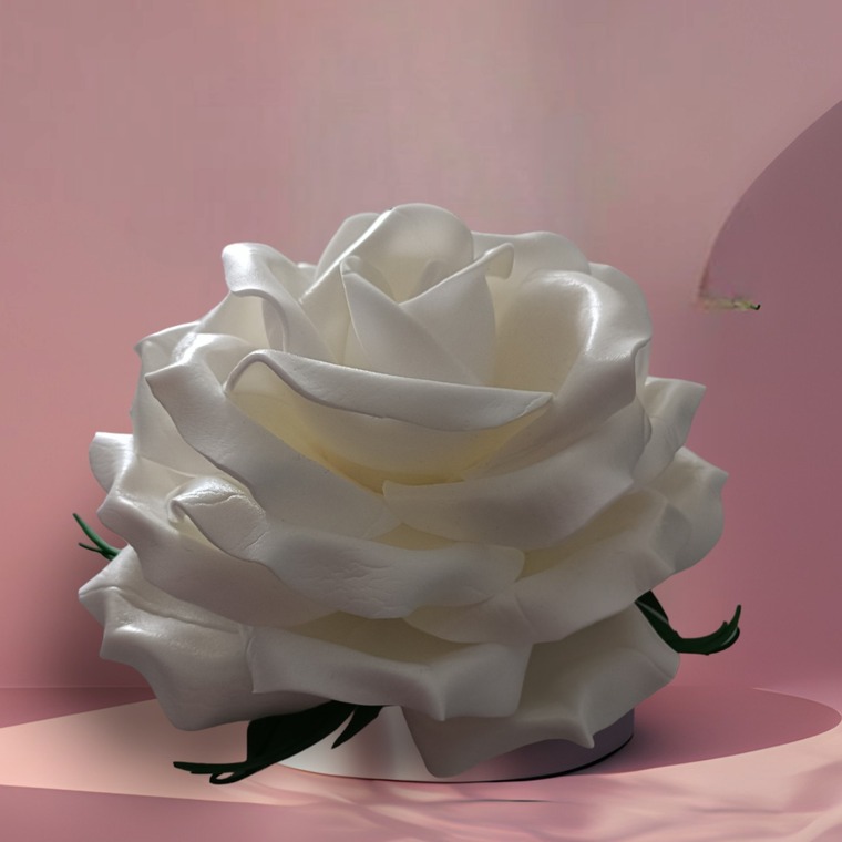 Ana cover image