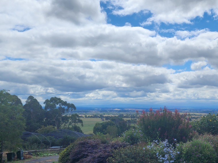 Aussie cover image
