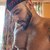 JR (Rated R) avatar
