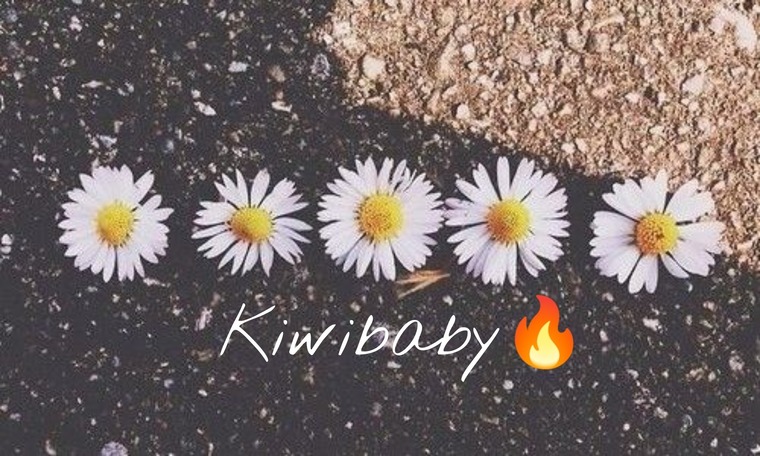 Kiwibaby banner image