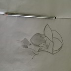 Nelson avatar