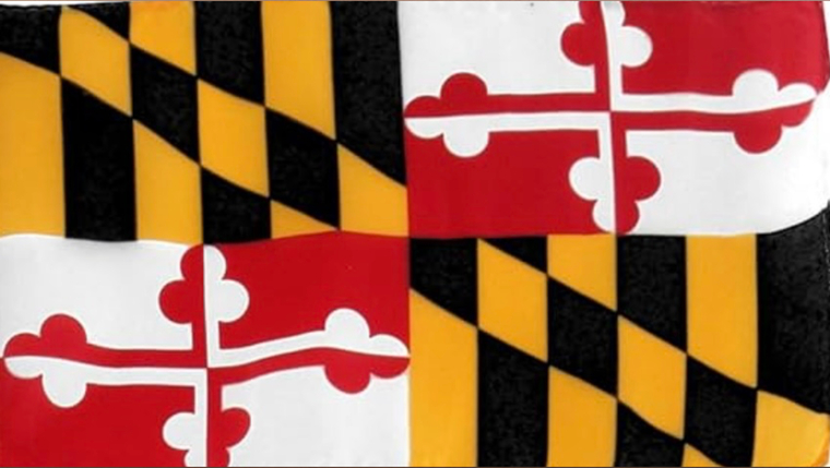 Pimpnainteasy410 banner image