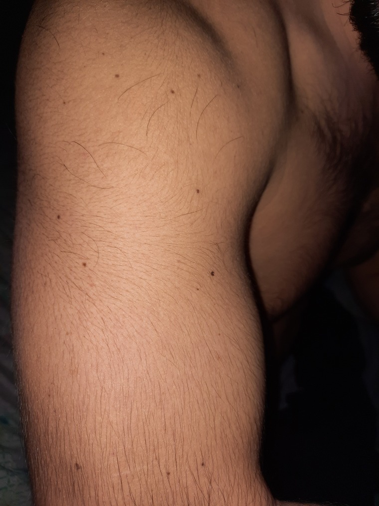 Tommaso banner image
