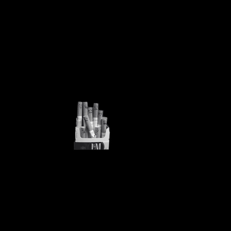 lynlyn🫧 cover image