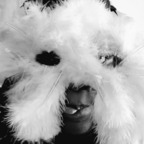Plume d'ange avatar