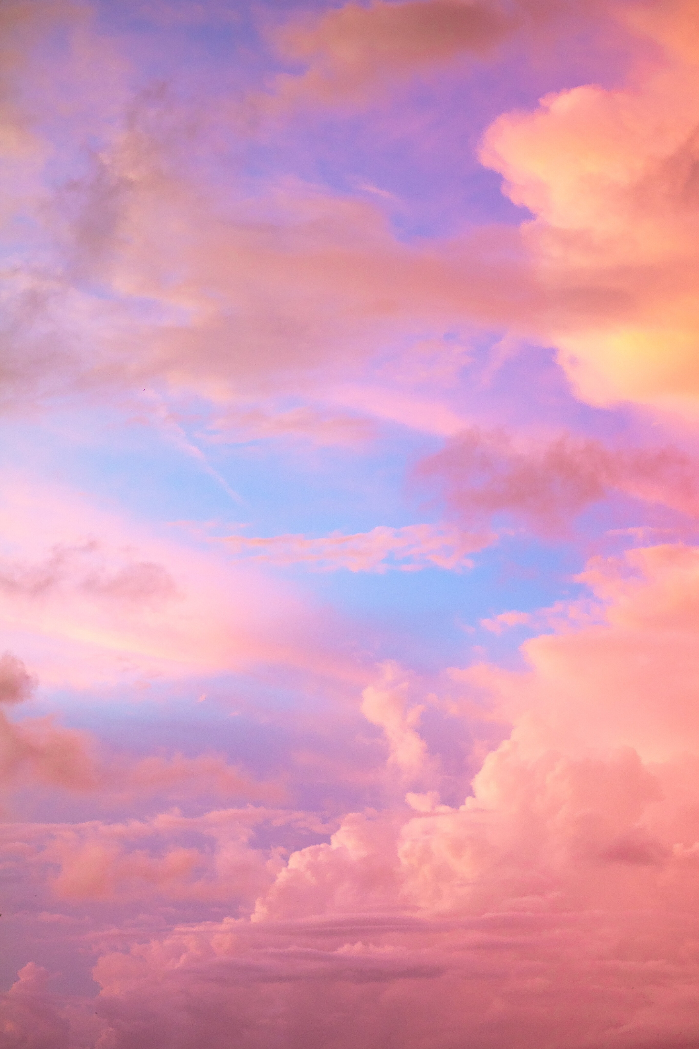 Aitana Vargas banner image