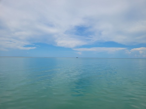 Ali cover image