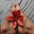 Itsy Piggies avatar