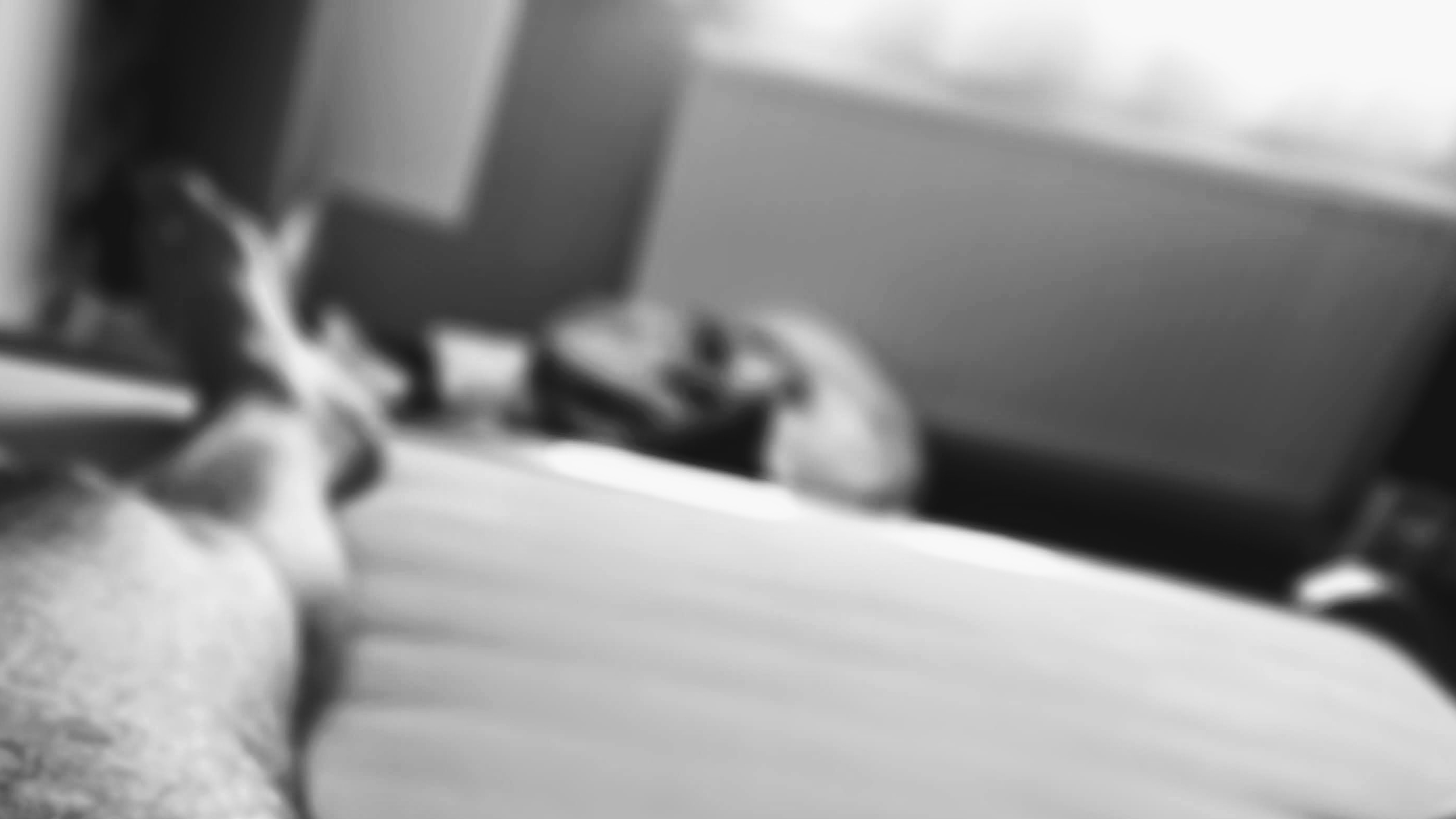 Daaarrr banner image
