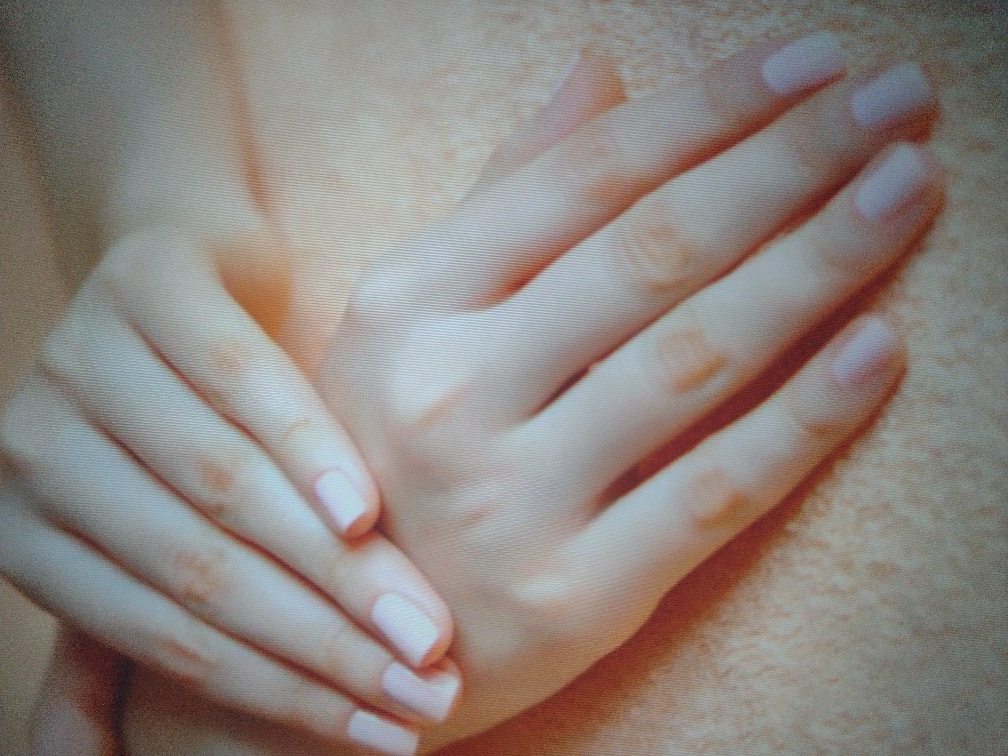 Lucrezia banner image