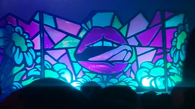 Carolina banner image