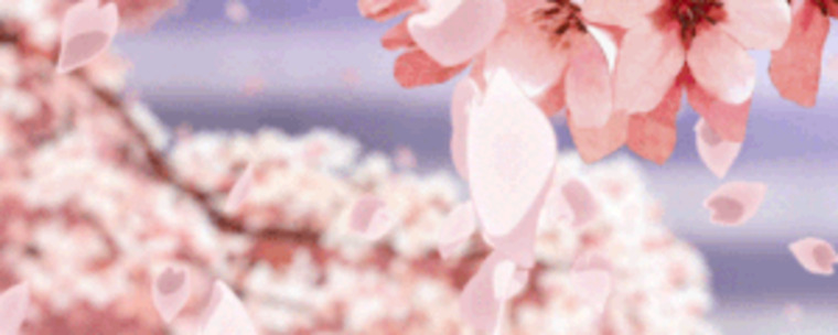 Divine dolly~°• banner image