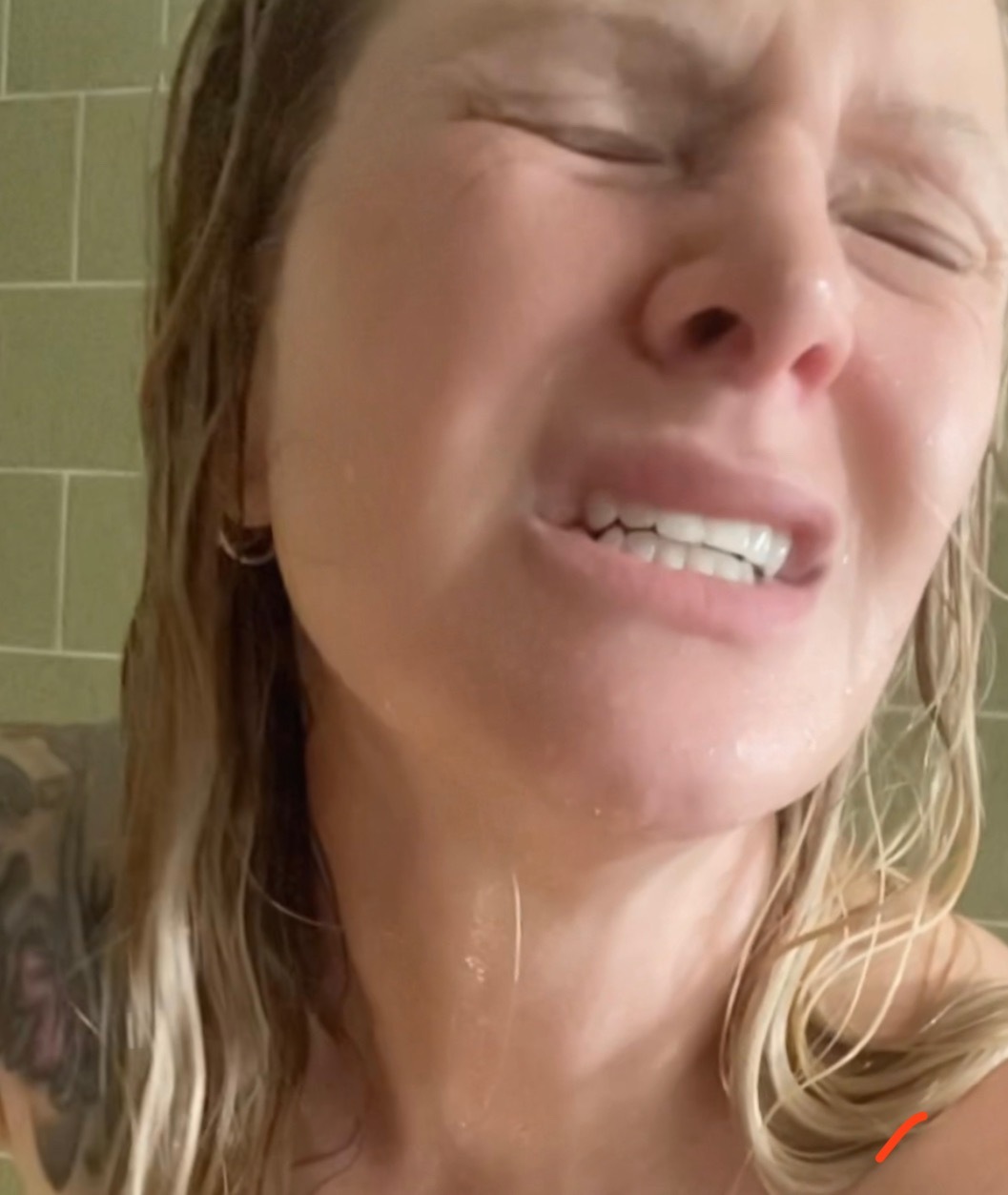 Suburban Housewife banner image