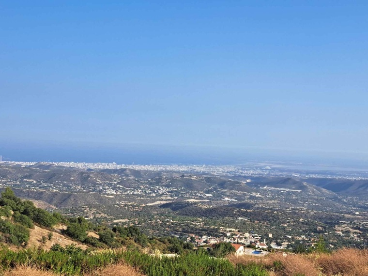 T. cover image
