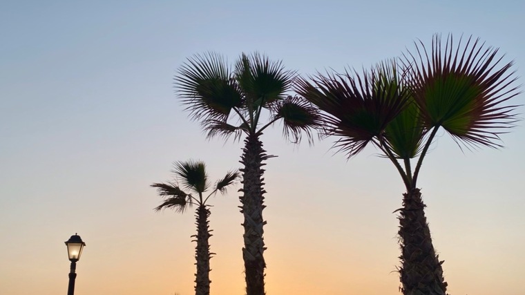 Hi18273773 banner image