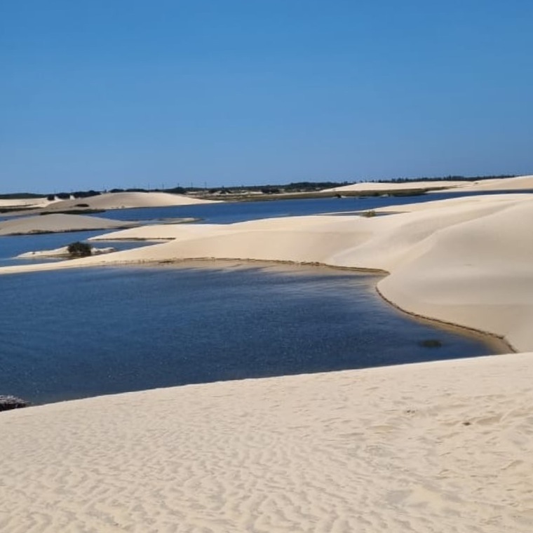 Marinete de sousa banner image