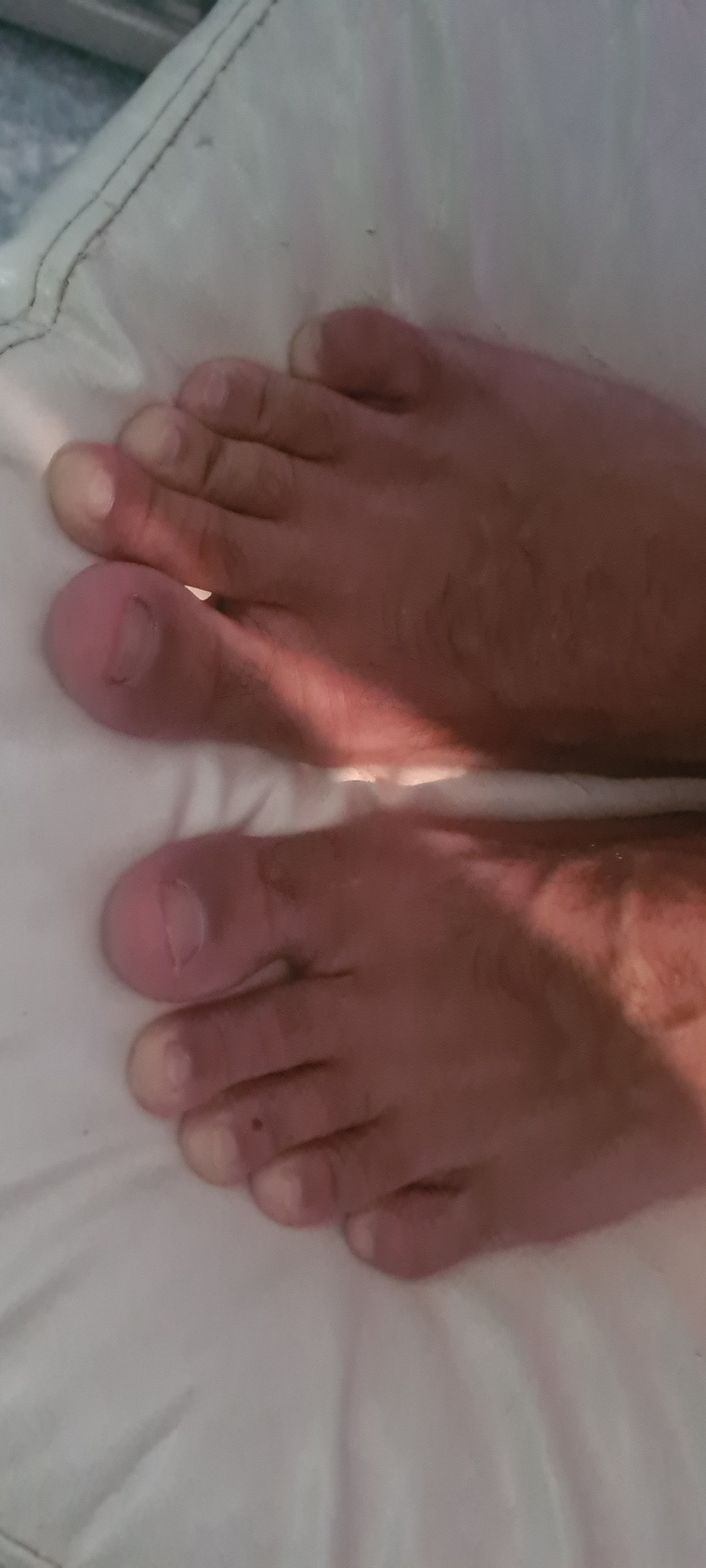 Toto cover image