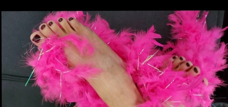 barefoot princess cover image