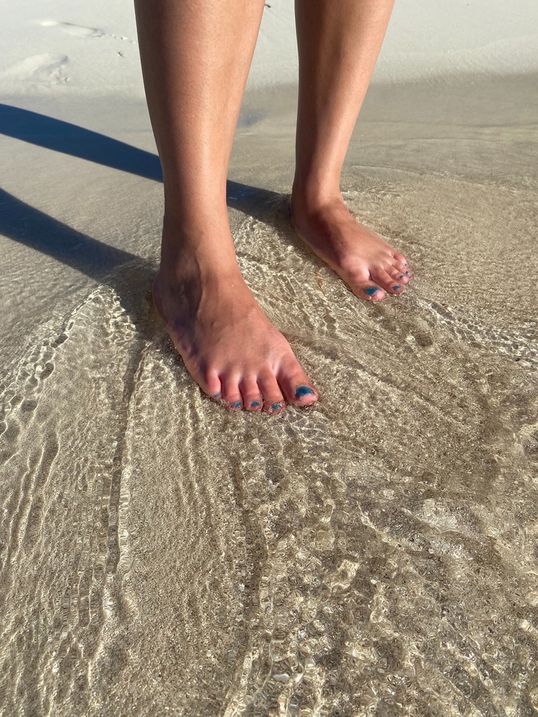 TeacherToes banner image