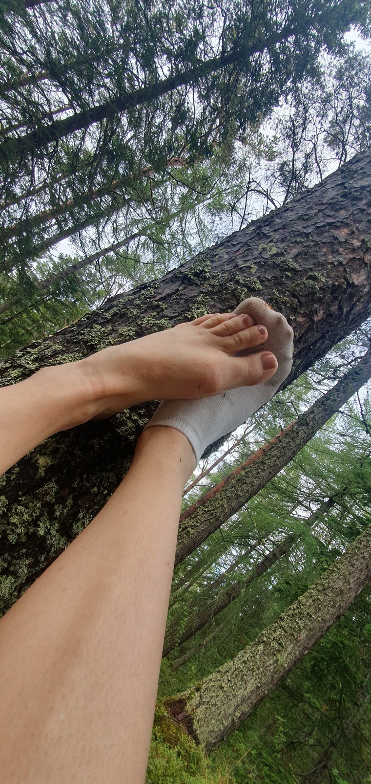 Scandinaviangirloutdoors cover image