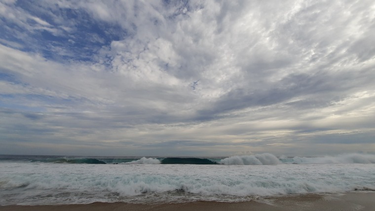 Shanaia cover image