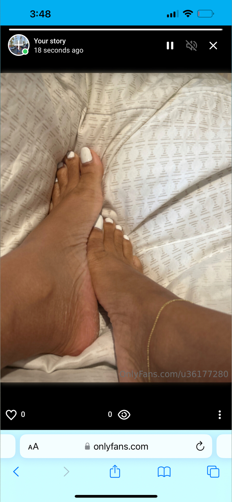 BeezyFeets cover image