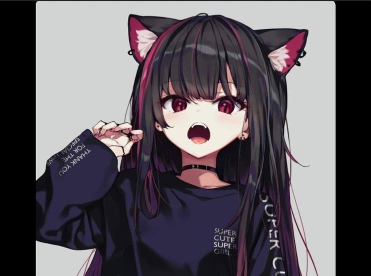 Letymeow banner image