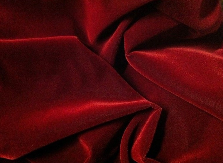 Lou cover image