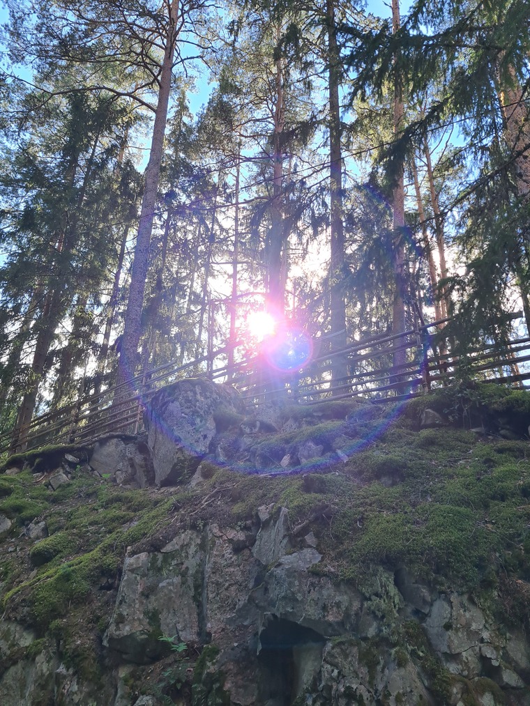 Niina Salo cover image