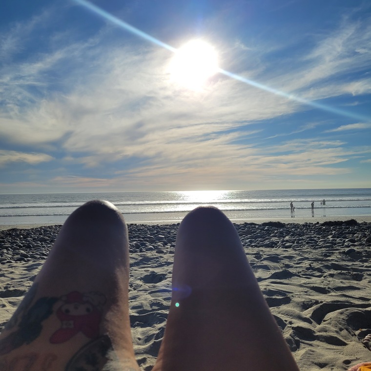 SunshineDreams cover image
