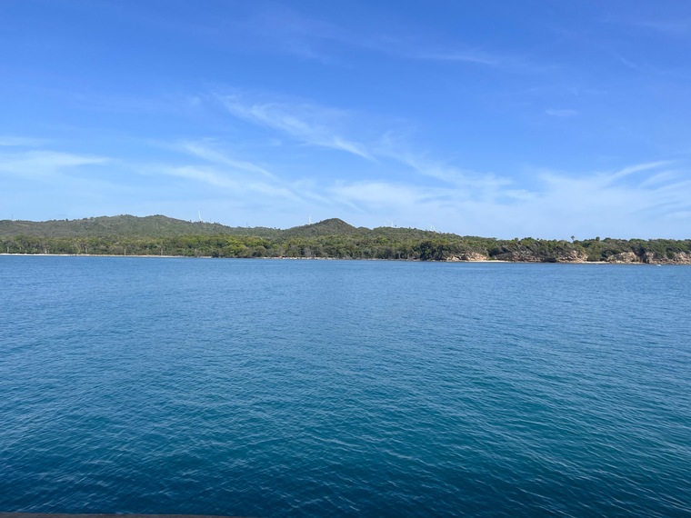 Trishv cover image