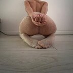 Blondi 6789 avatar