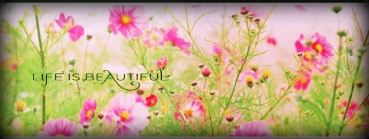 Chelle Ramona banner image