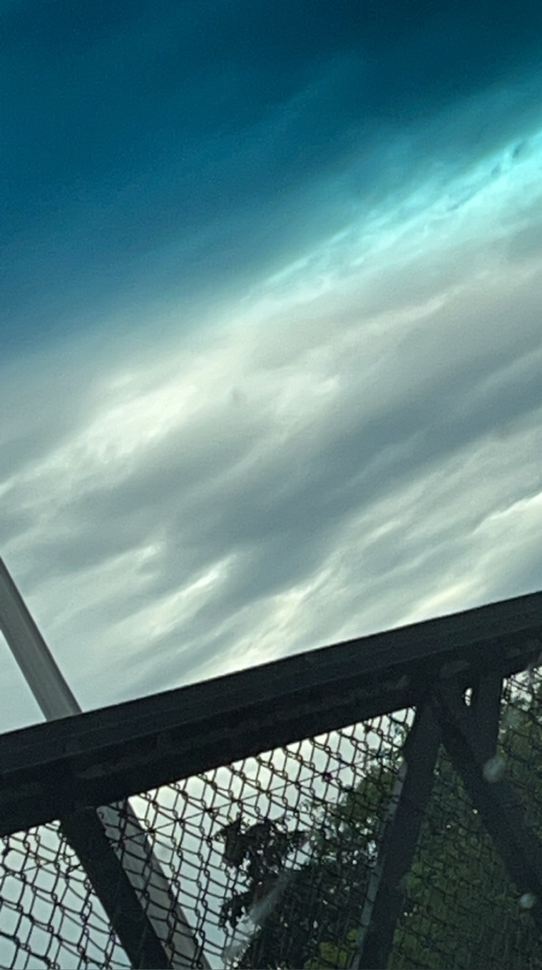 The_master cover image