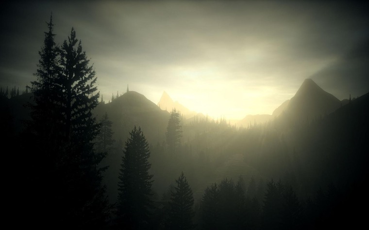 NINABORSUTSKA banner image