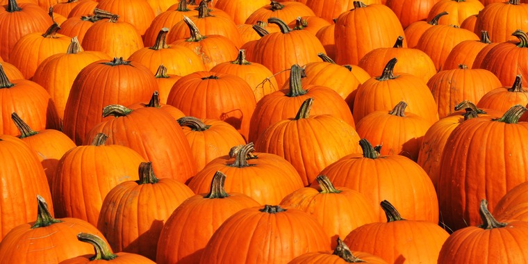 Sexipumpkin69 cover image