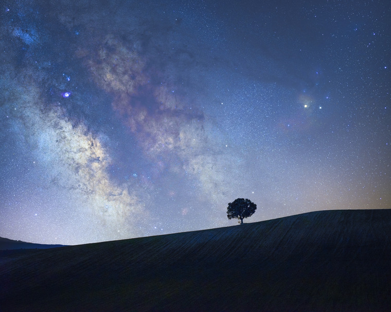 Emer cover image