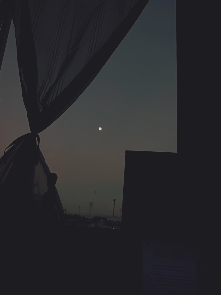 Melody García cover image