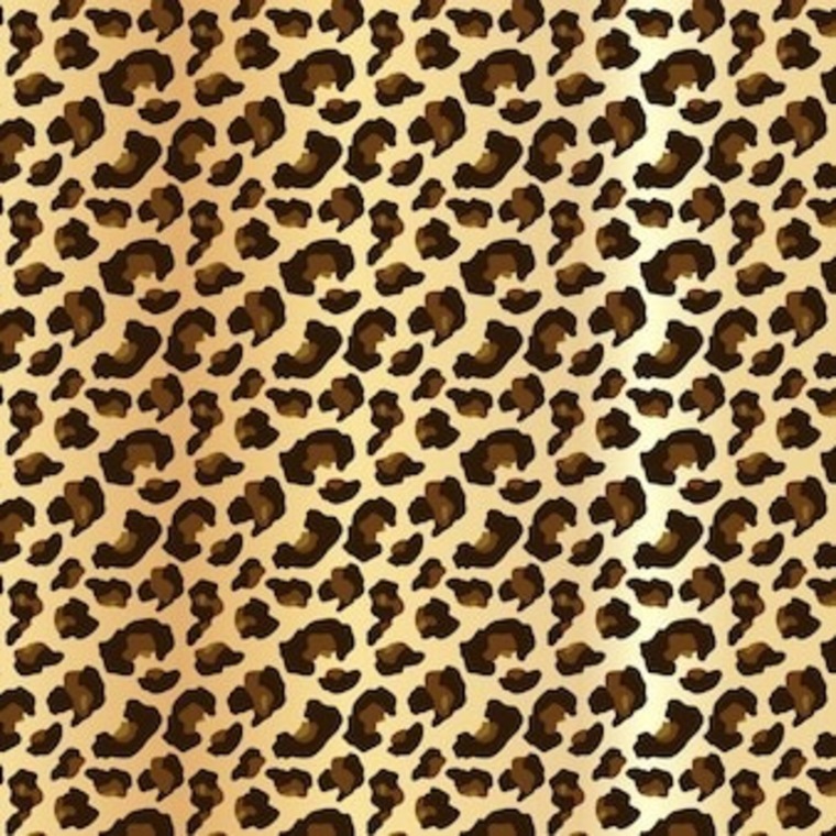 Cheetahflavored banner image