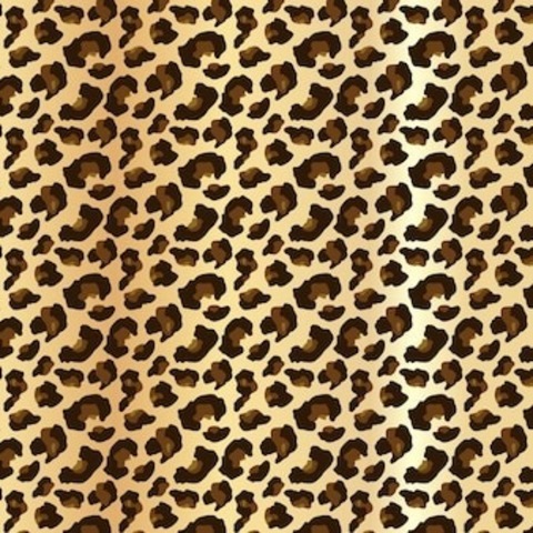 Cheetahflavored cover image