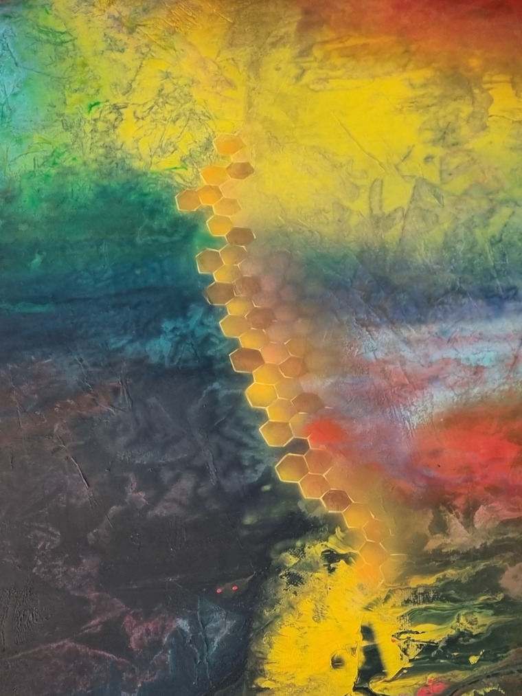 LillySol cover image