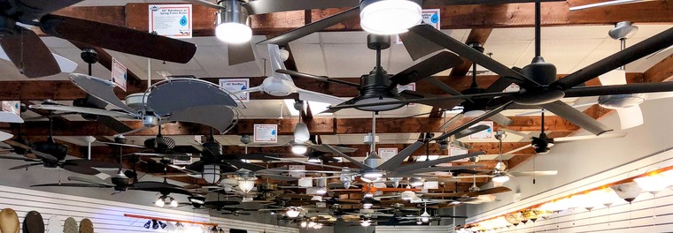 Only Fans banner image