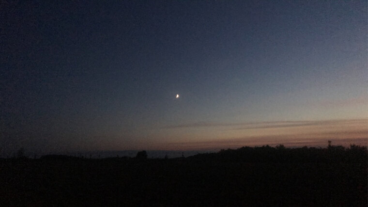 xxx banner image